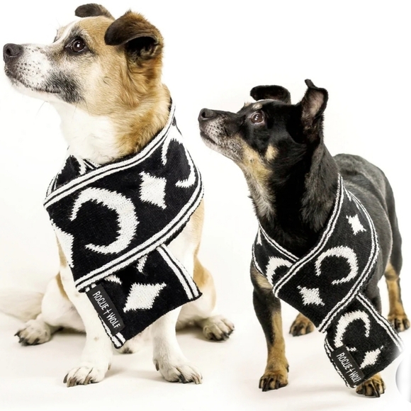 Rogue + Wolf ✦ “Moon Pupper” Knit Pet Scarf ✦ Black Vegan Yarn Celestial Print - Picture 13 of 16